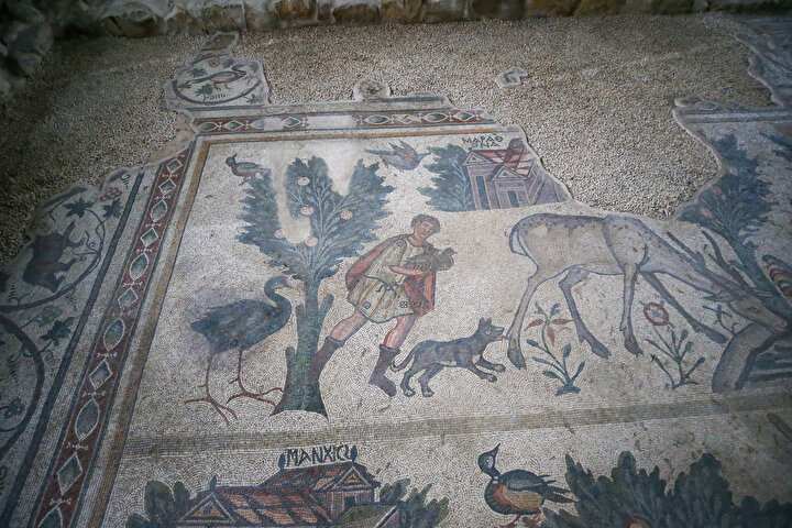 yeniSafak