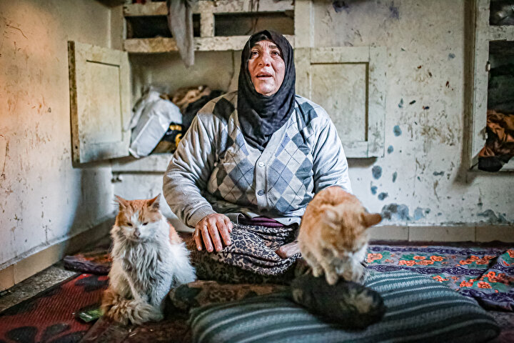 yeniSafak