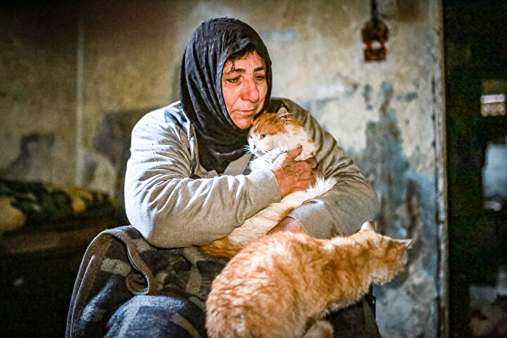 yeniSafak