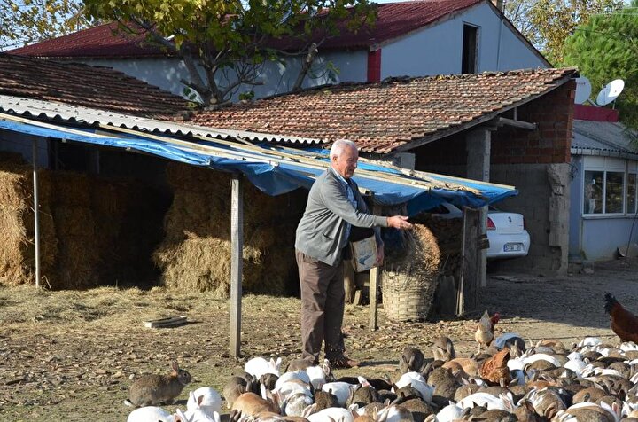 yeni safak