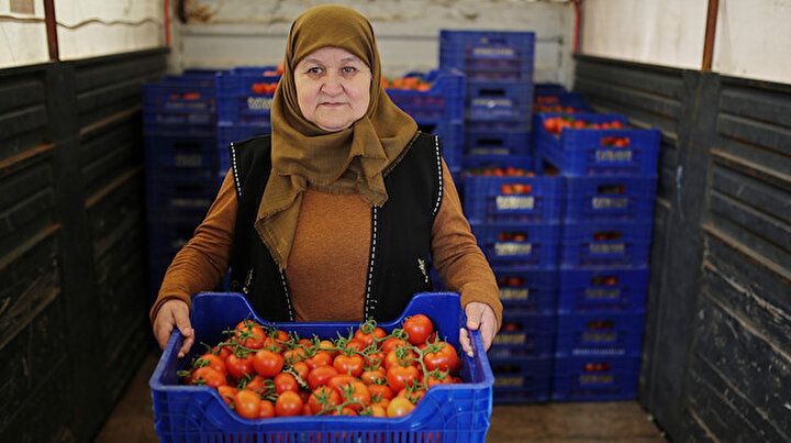 Tanzim satışlar tam gaz sürüyor