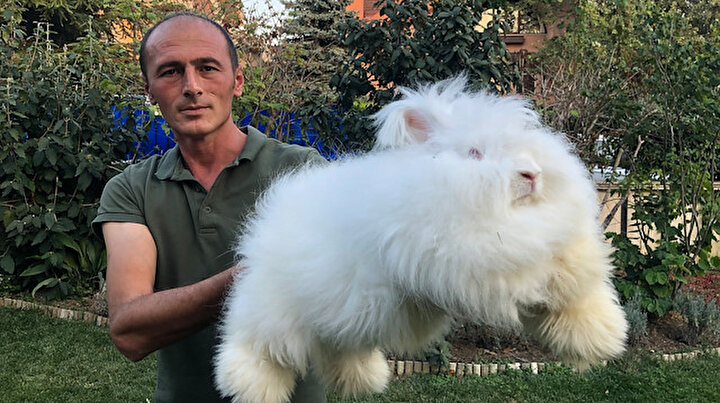 yeni safak
