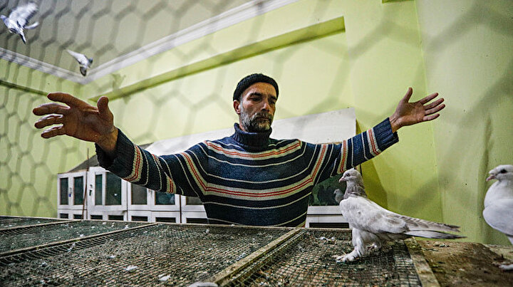 Araba fiyatına güvercin: 11 kuş satıp araba almıştım