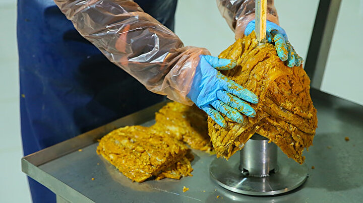 Avrupaya balık döner ihraç edilecek