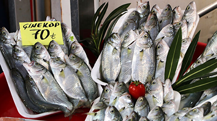 Restoranlar kapanınca balık halinde çeşit arttı, fiyat ucuzladı: Vatandaşlar balıkları yarı fiyatına alabilirler