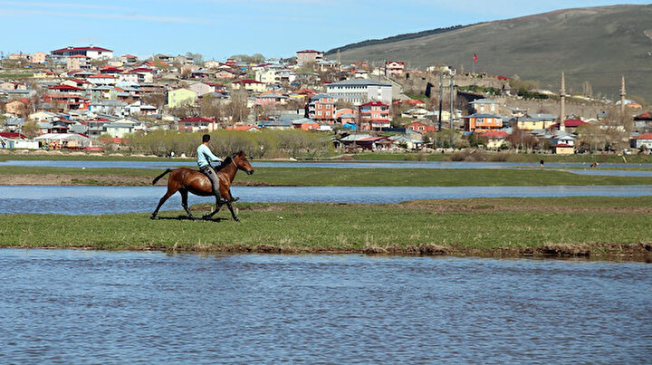 Kura Nehri Tasti Ardahan Ovasi Gole Gondu