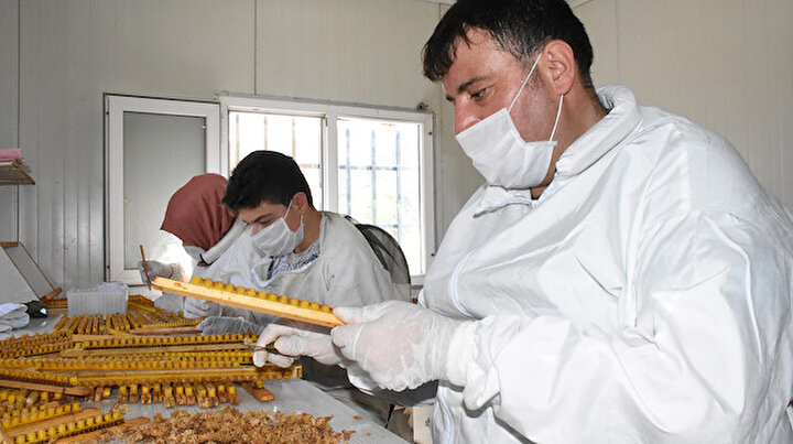 Arı sütünün kilosu 7 bin TLden alıcı buluyor