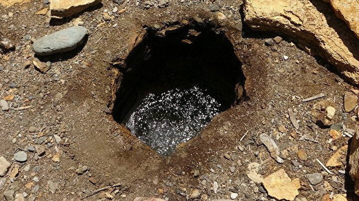 Adana’da esrarengiz kuyu: Çevresindeki tüm canlılar ölüyor