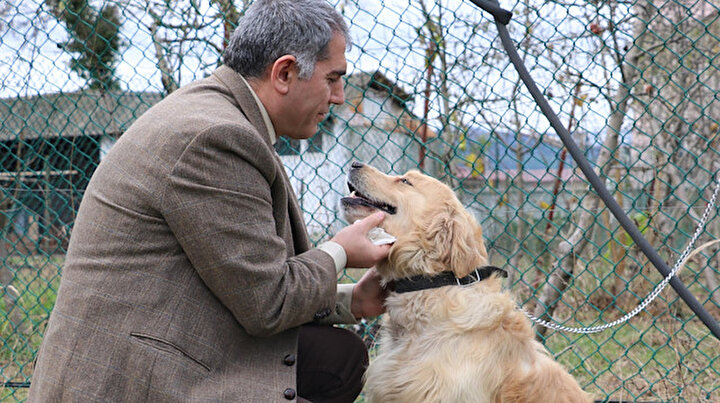 Altı yıllık eğitimle kanseri koklayacaklar: Erken teşhiste biodedektör köpekler