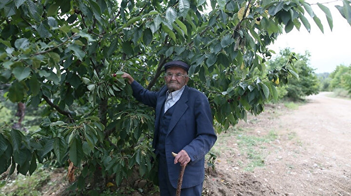 Bursalı İbrahim dededen hayrat bahçesi: Sebze ve meyveler 23 yıldır ücretsiz