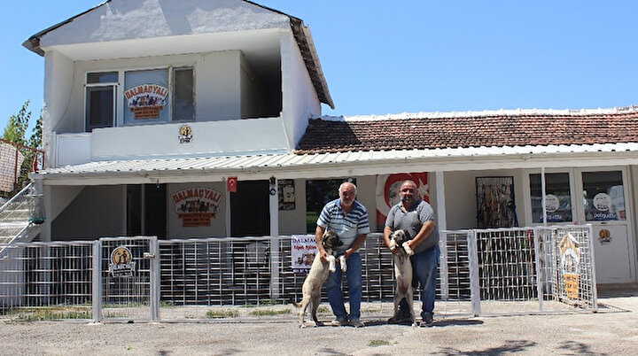 yeni safak