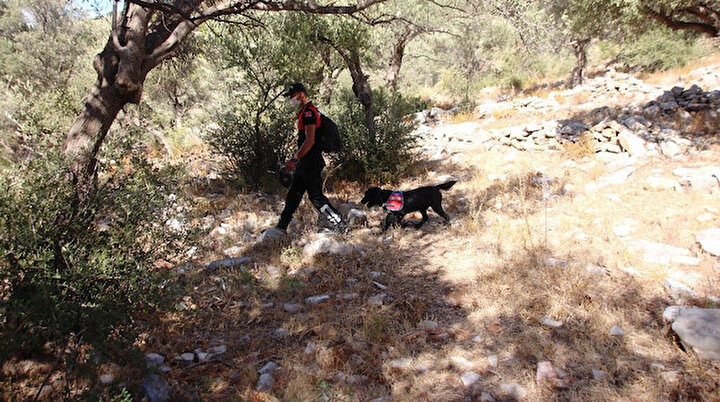 50 kişilik ekip kafatası köpek tarafından bulunan kişinin bedeninin kayıp parçalarını arıyor
