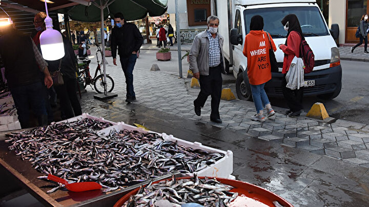 Hamsinin kilosu 50 liraya çıktı, fiyatı gören tezgahtan döndü
