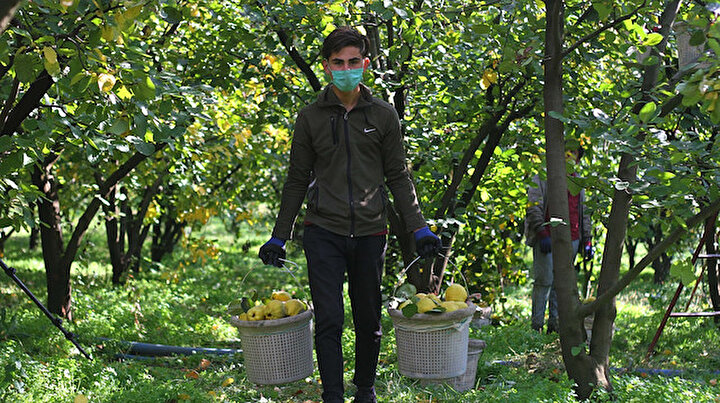 Daha dalındayken satılıyor: Ülkeler almak için sıraya girdi