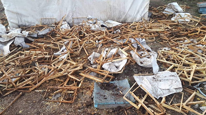 Ayılar 50 kovanı parçaladı, 100 kilo balı yedi