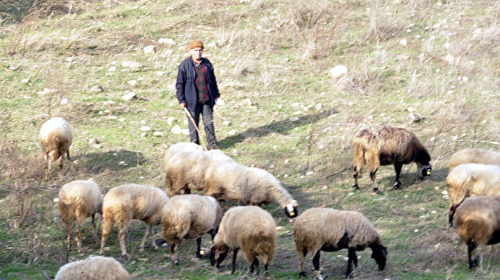 60 yıldır dağlarda ve yaylalarda: Biz korona morona görmedik