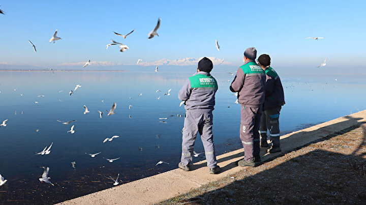 Kısmen donan Beyşehir Gölüne martılar için yem bırakıldı