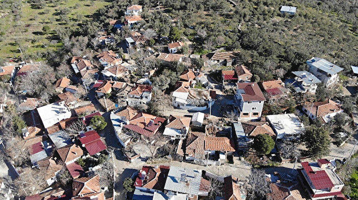 Kırmızı ilin tek mavisi: Şimdiye kadar hiç vaka görülmedi