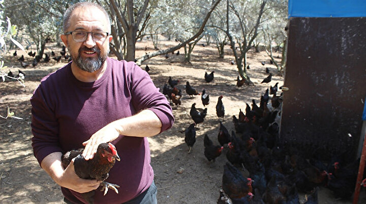 Hobi olarak başladı: Şimdi günde 600 yumurta üretiyor