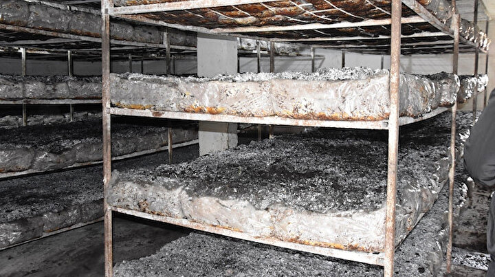 Bitlis’te üretilen kültür mantarı bölge illerine pazarlanıyor