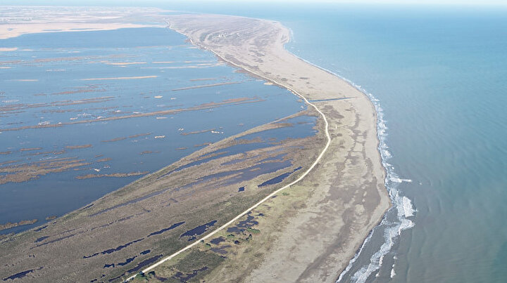 Kızılırmak Deltası küçülüyor: Uzmanlar acil önlem çağrısı yaptı