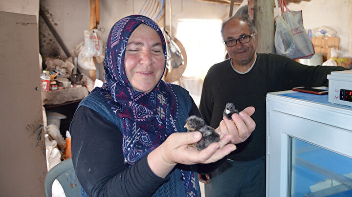 Köyüne dönüp bin liralık mikro kredi almıştı: İki çocuk annesi 11 yılda çiftlik kurdu