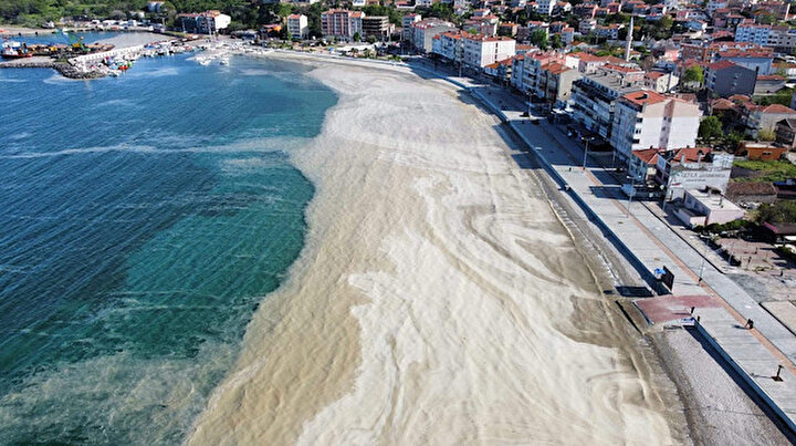 Deniz salyaları Tekirdağ sahillerini kapladı