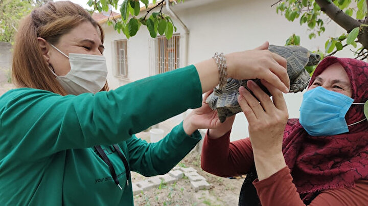 Kibrit kutusunda getirdi 3 yıl terlik içerisinde büyüttü: 15 yıldır evladı gibi seviyor