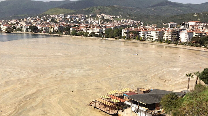 Marmara Denizi'nde salya kabusu sürüyor: Erdek Körfezi de deniz salyasıyla kaplandı - Yeni Şafak