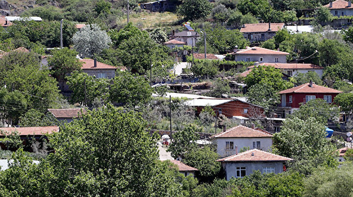 En çok vaka görülen kentin 33 köyüne hastalık giremedi
