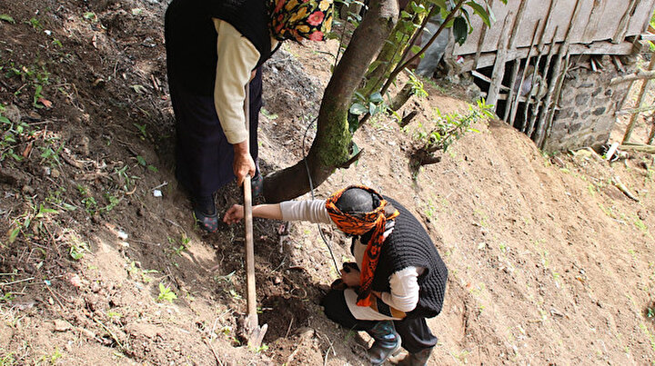 Rizede gelenek 60 yıl sonra kaldığı yerden devam ediyor: Eğitim alıp üretime başladılar 