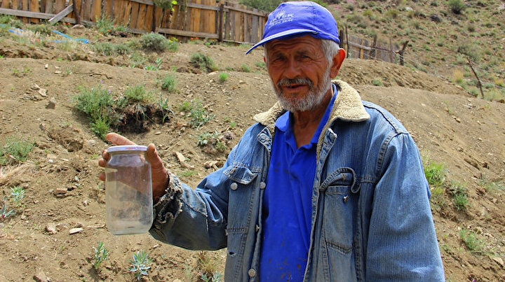 Herkes Erzurumda yetişmez dedi: İnşaat ustası önce kavanozda büyüttü sonra toprakla buluşturdu