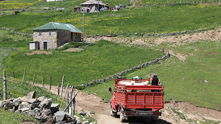 Gümüşhane alarm veriyor: Yayla göçleri vakaları artırdı
