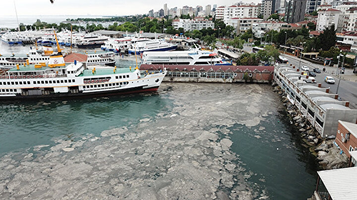 İstanbulda deniz salyası tehlikeli boyutlara ulaştı: Karadenize yayılma riski var!