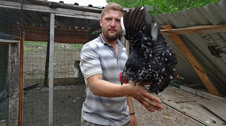 Pandemide iş yerini kapattı: Süs tavuğu işine giren genç tanesini 150 liradan satıyor