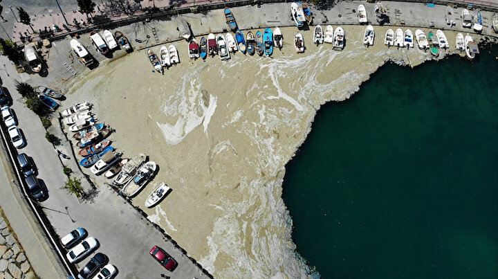 Balıkçıların kâbusu bitmiyor: Deniz salyası ağları duman etti balık yok