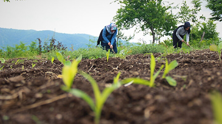 Kırsalın girişimci kadınları bu projeyle daha da güçlendi