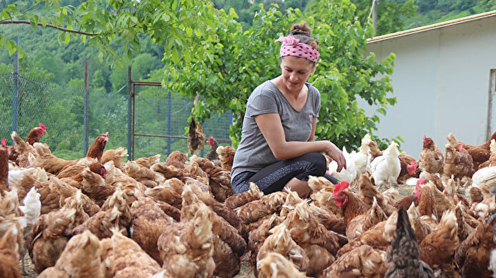 Özlediği köyüne dönüp hayalini gerçekleştirdi şimdi tavuk çiftliği var