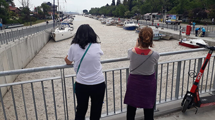 İstanbulun sahilleri müsilajla doldu: 95 yıldır böyle bir şey görmedim