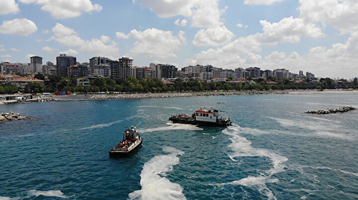 Caddebostan Sahilinde hummalı çalışma: Ekipler müsilaj belasından kurtarmak için canla başla çalışıyor