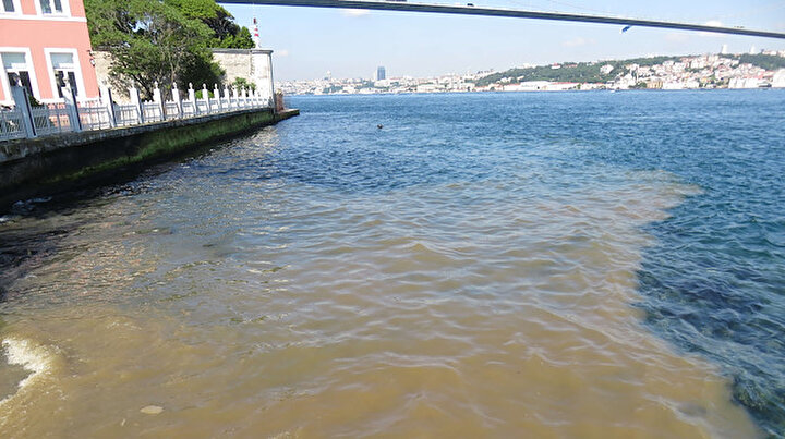İstanbul Boğazında endişelendiren görüntü: Müsilajdan sonra şimdi de kahverengiye döndü