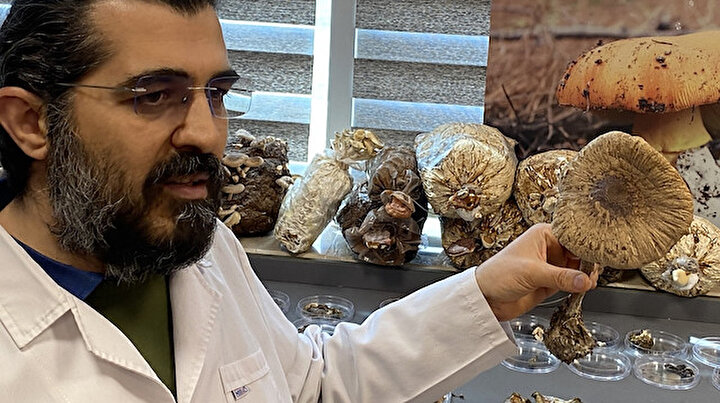 Binlerce Euroya satılıyor: Avrupa’nın gözdesi ‘kara elmas’ üretimi için farklı yöntem