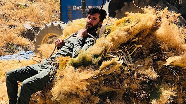Bedenlerinin 6-7 katı büyüklüğünde: Tam 70-80 kiloluk otları 200 metre sırtlarında taşıyorlar
