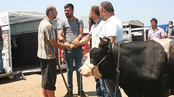 Korona bitmedi ama gelenek geri döndü: Kurban pazarlarında elle pazarlık devam ediyor