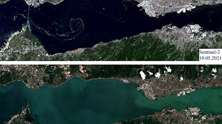 Müsilajlajla mücadele seferberliği sonuç verdi: Marmara eski haline döndü