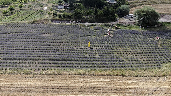 Fransa’dan gelirken bir avuç tohum getirdi: Babasının tarlasında kendi işini kurdu