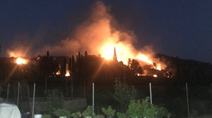 Bodrumda korkutan yangın: 10 hektar makilik alan kül oldu