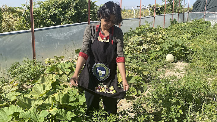 Kadın girişimci tohumunu Çinden getirtti üretime başladı: Yılda 150-200 bin lira arasında kar kalıyor