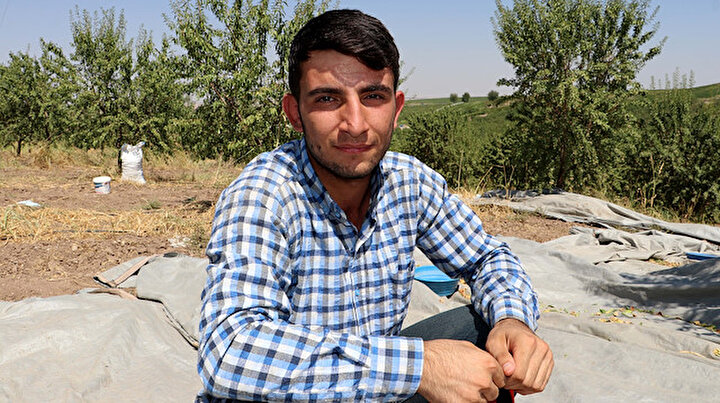 Tıp fakültesini bıraktı çiftçi oldu: Diyarbakırlı girişimci gelirini 4 kat artırdı