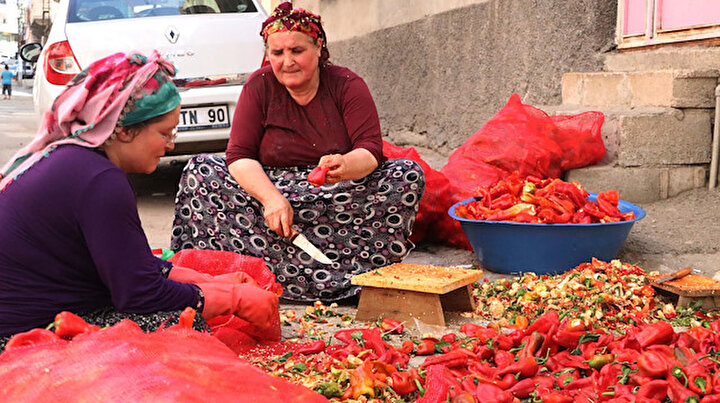 Gaziantepli kadınlar 10 gün boyunca çalışıyor: Salça mesaisi imece usulü bitiriliyor